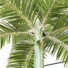 8m 각광된 인공 야자나무 섬유 유리 줄기 Uv 보호