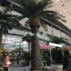 공항을 위한 워싱토니아 6.5m 키가 큰 인공 승리 식물