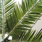 OEM 인공 코코넛 야자나무, 7m 야외 인공 야자나무 Uv는 보호했습니다