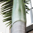 반대 페이딩 10m 인공 야자나무 비단천 키가 큰 가짜 야자나무