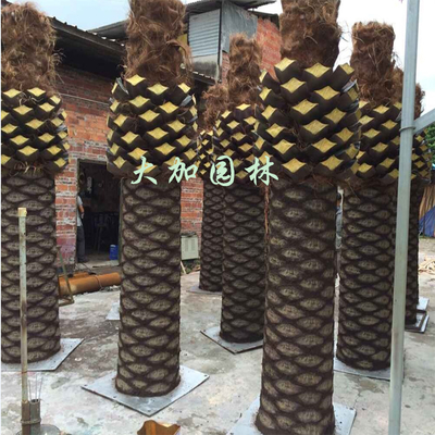 Large Outdoor Decorative Palm Tree Canada / Plastic Date Palm / Artificial Palm Trees