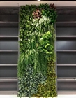 10년 인공 벽면녹화 배경, 100*100cm 인조 회양목재 패널